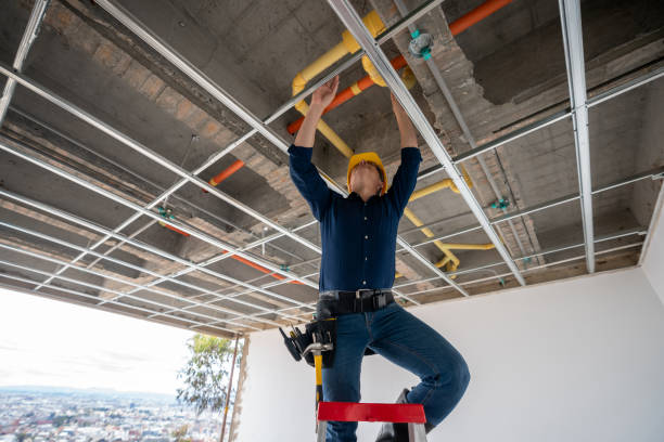 Best Plumbing Services Near Me  in Mapleton, MN