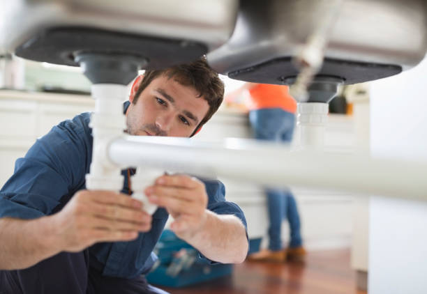 Best Toilet Repair Services  in Mapleton, MN